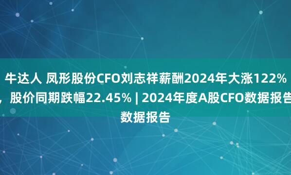 牛达人 凤形股份CFO刘志祥薪酬2024年大涨122%，股价同期跌幅22.45% | 2024年度A股CFO数据报告